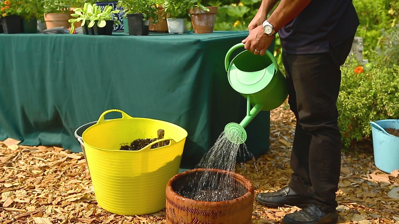 La jardinería en contenedores