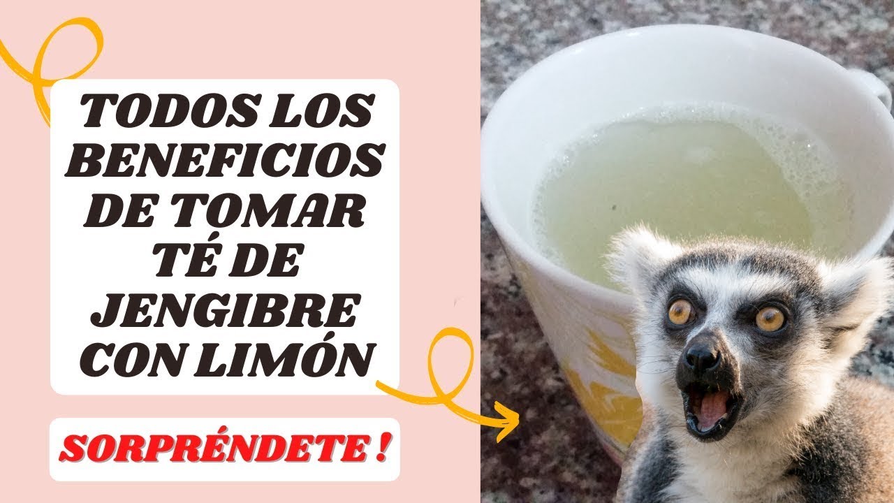 🌀Excelentes Beneficios De Tomar Té De Jengibre Con Limón 💥 Tremenda Combinación Saludable🌀