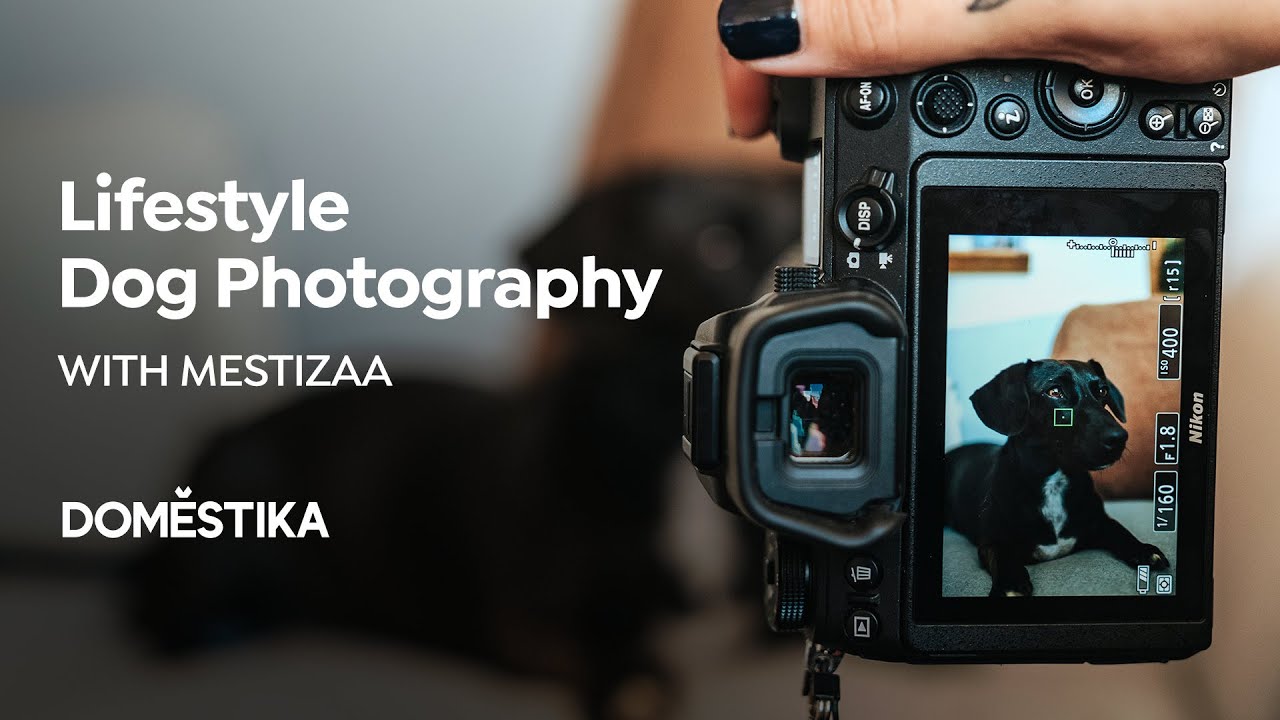 Fotografía Lifestyle de Perros | Un curso de Mestizaa | Domestika