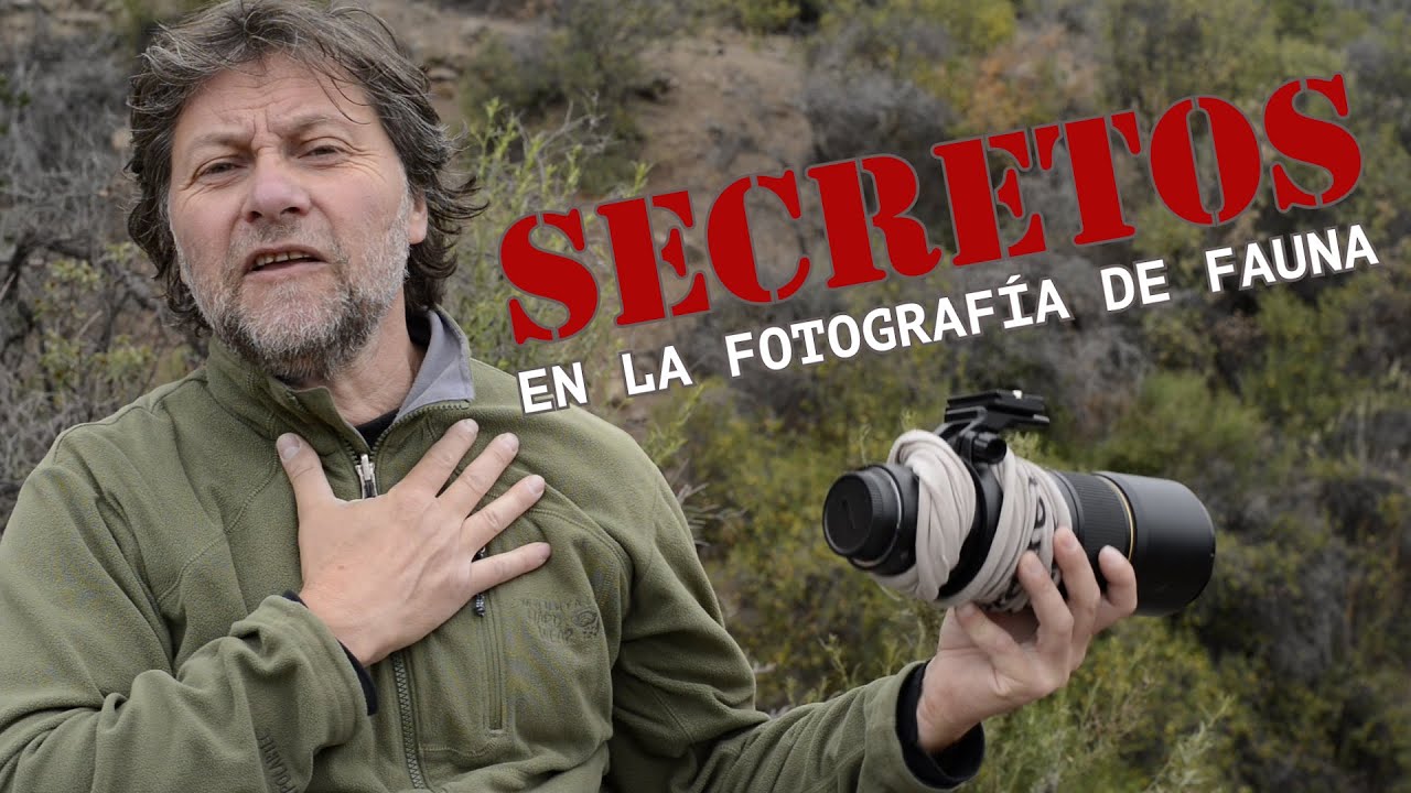 Secretos en la fotografía de fauna